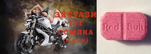 индика Алексин