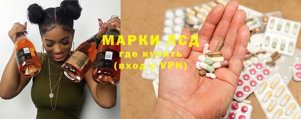 стаф Алзамай