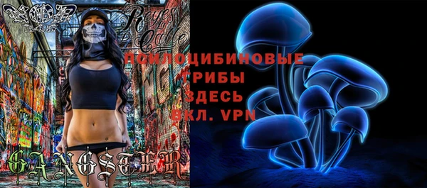 ALPHA PVP Надым