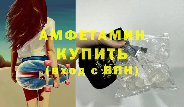 стаф Алзамай