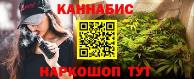 индика Лениногорск