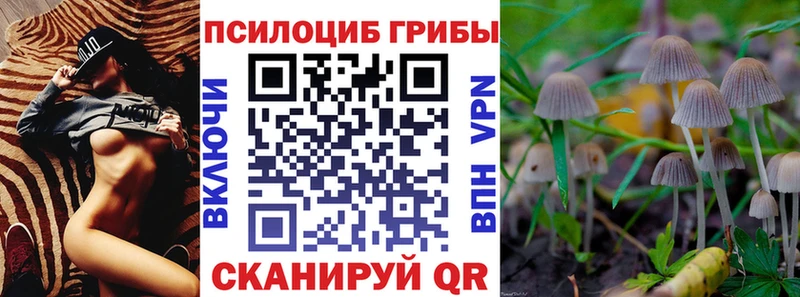 Псилоцибиновые грибы прущие грибы  купить наркотик  blacksprut ссылка  Южноуральск 