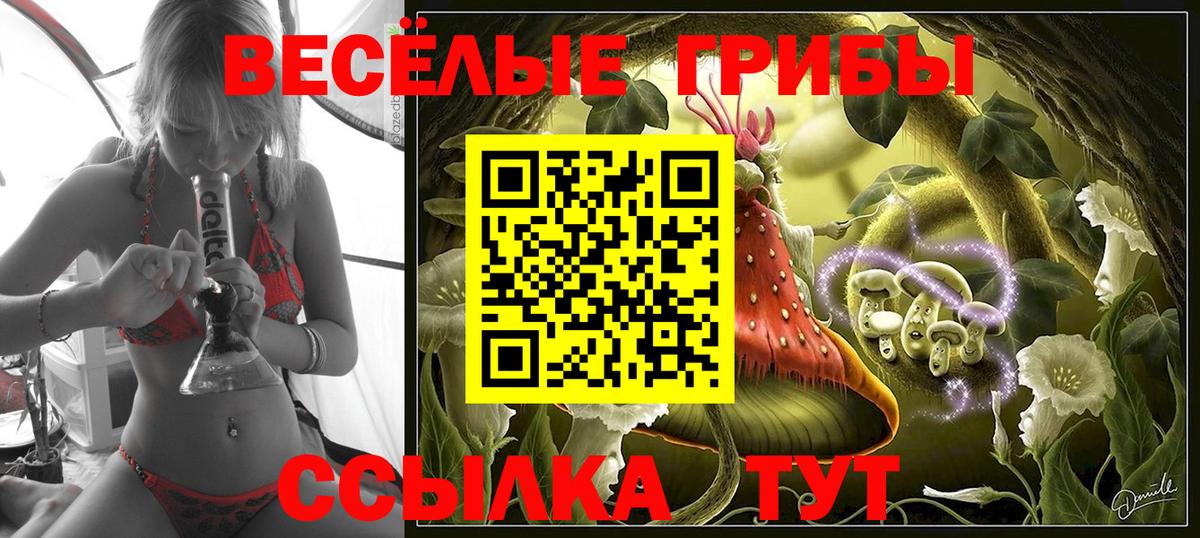 Южноуральск  Псилоцибиновые грибы прущие грибы  Вход с VPN  наркота  Псилоцибиновые грибы прущие грибы 